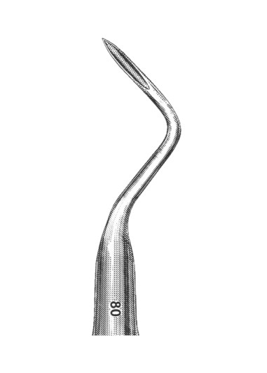 TMS-DM-1300