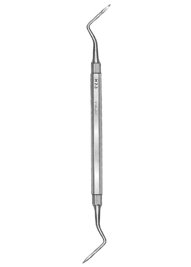 TMS-DM-1304