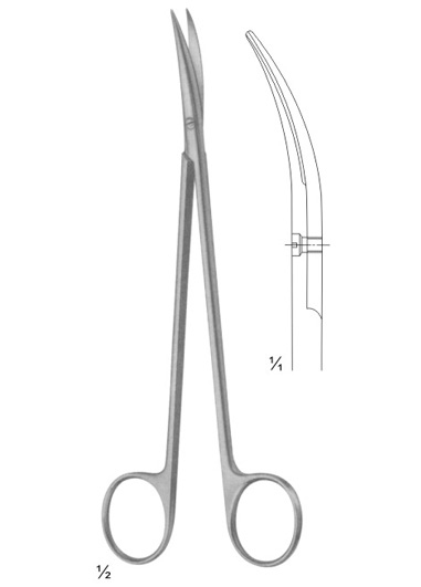 TMS-DM-2613