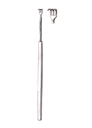 TMS-DM-2441