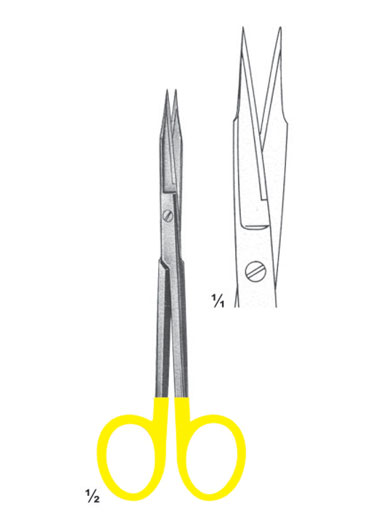 TMS-DM-2831