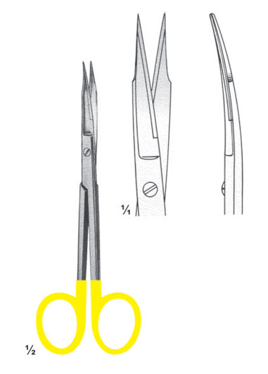 TMS-DM-2833