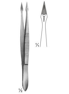 TMS-04-258